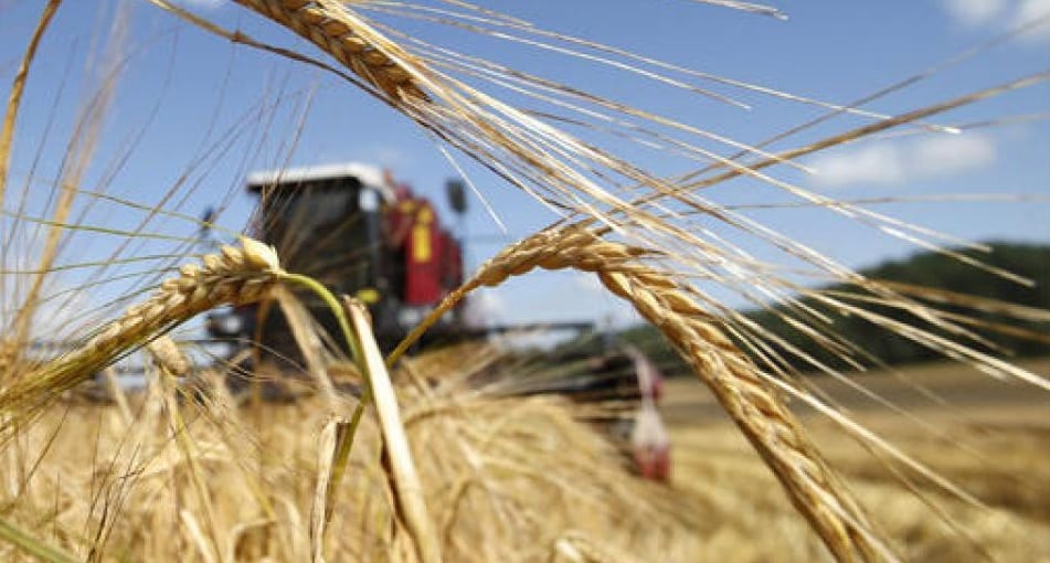 روسيا ترسل 60 ألف طن من القمح للسعودية!