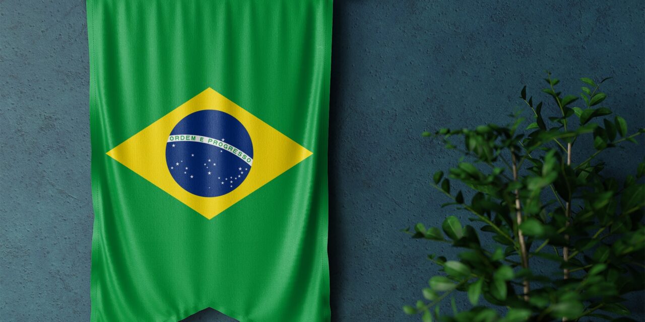 هل مولت السعودية محاولة الانقلاب الفاشلة في البرازيل؟